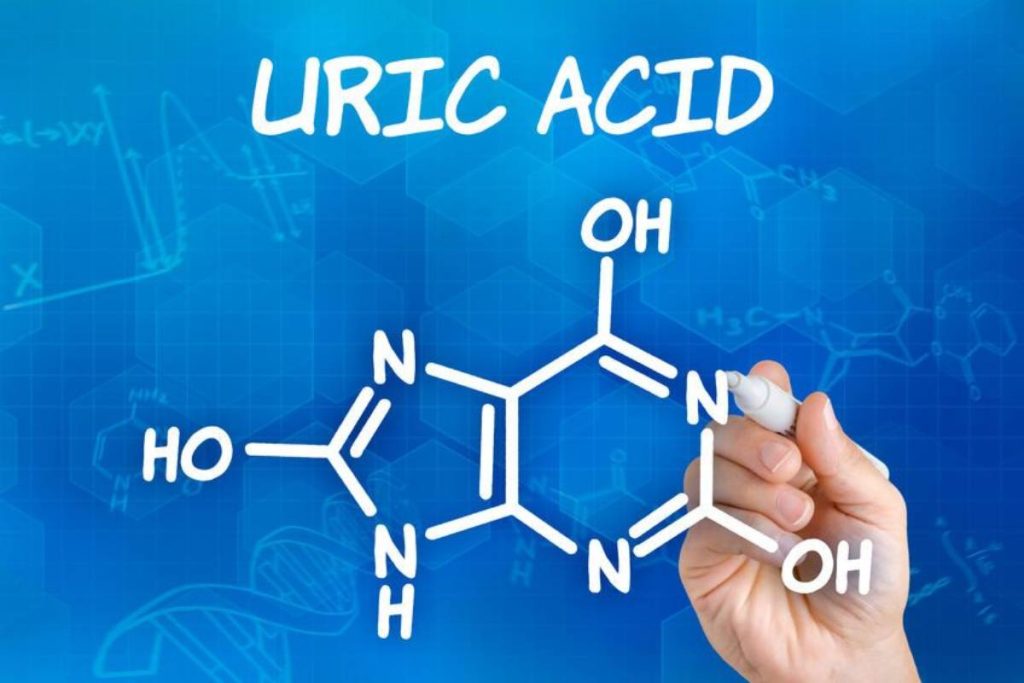 Chỉ số Acid Uric là gì?